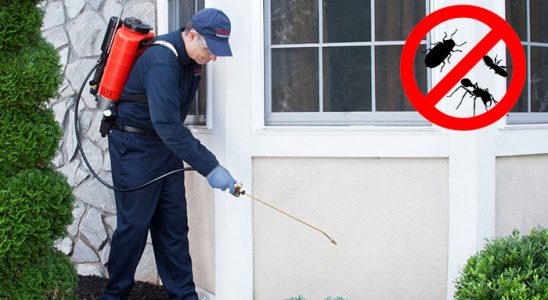 Asarlık Kemirgen İlaçlama böcek ilaçlama ve haşere kontrolü — ilaclama-tr.com